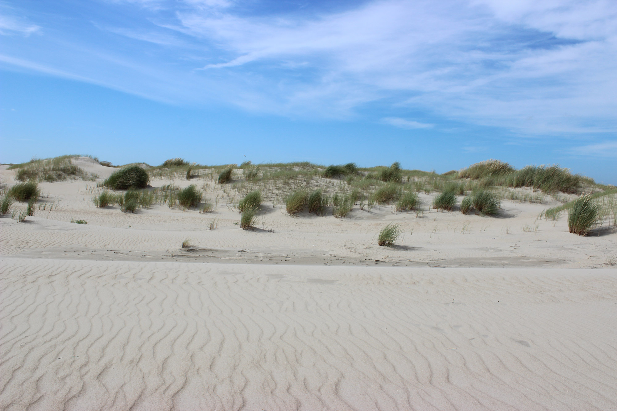 Strand en duinen op Texel